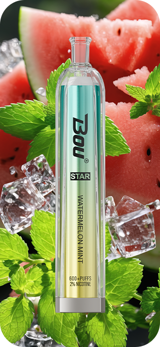 Vaper Desechable Bou star Watermelon Mints